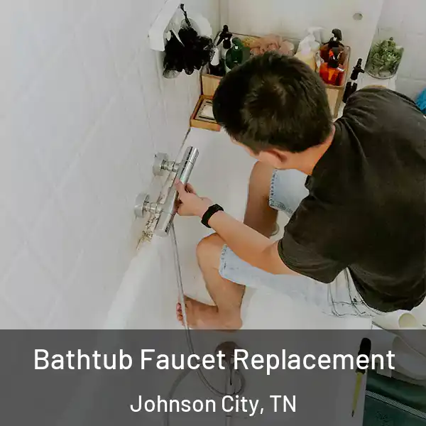  Bathtub Faucet Replacement Johnson City, TN