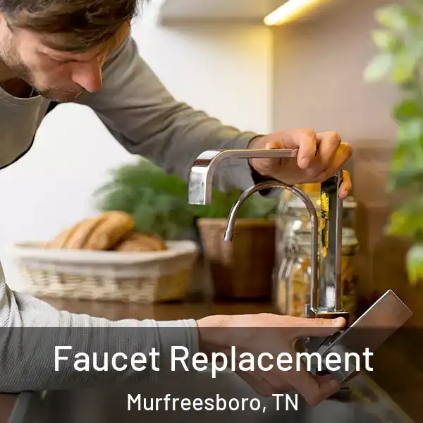  Faucet Replacement Murfreesboro, TN