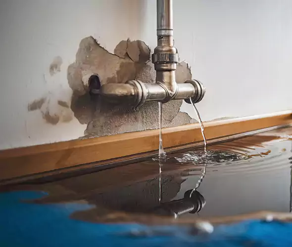 Professional Water Damage Restoration Experts in Mound Juliet, TN — Fast, Reliable & Certified