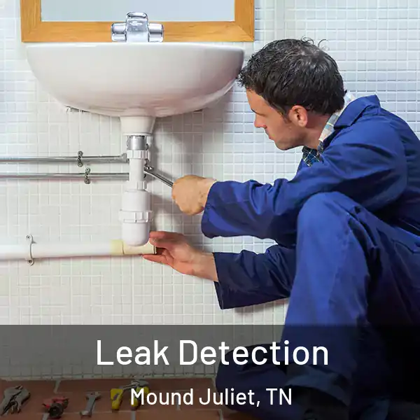  Leak Detection Mound Juliet, TN
