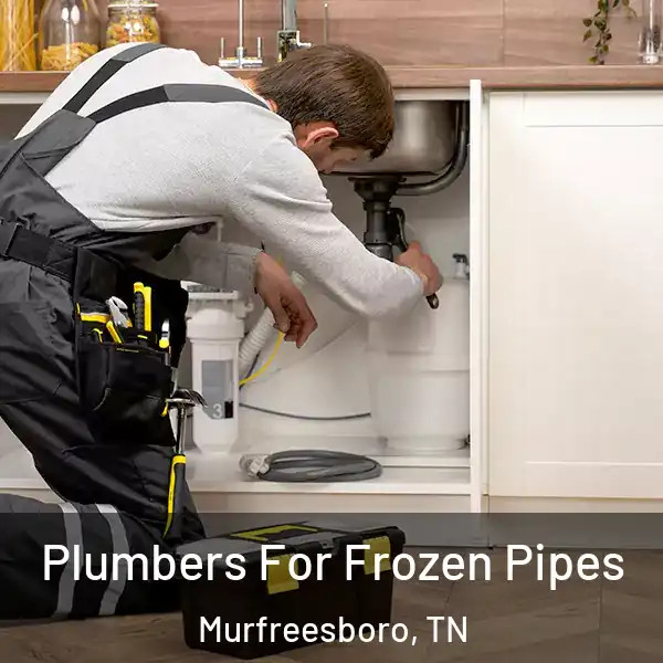  Plumbers For Frozen Pipes Murfreesboro, TN