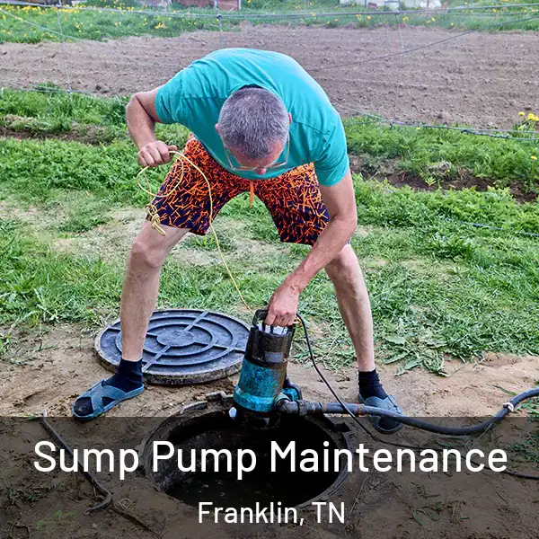  Sump Pump Maintenance Franklin, TN