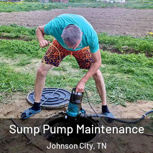  Sump Pump Maintenance Johnson City, TN