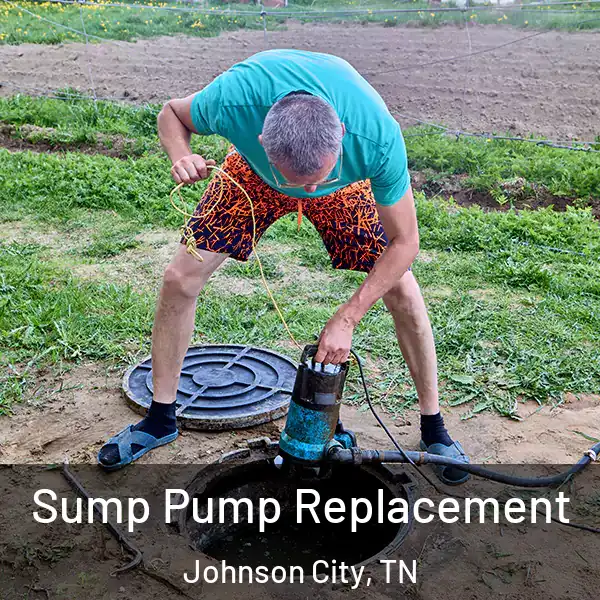  Sump Pump Replacement Johnson City, TN