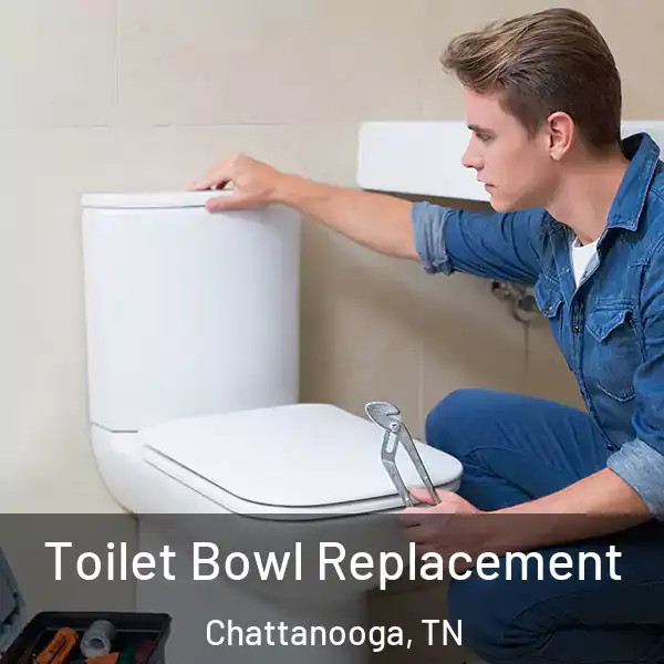  Toilet Bowl Replacement Chattanooga, TN