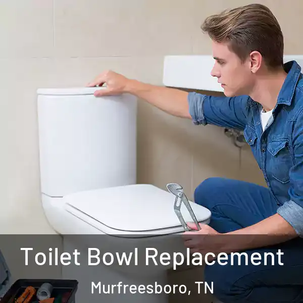 Toilet Bowl Replacement Murfreesboro, TN