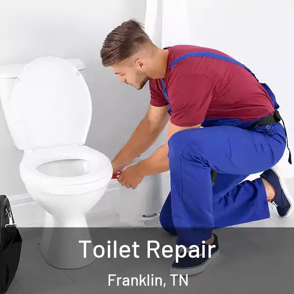  Toilet Repair Franklin, TN