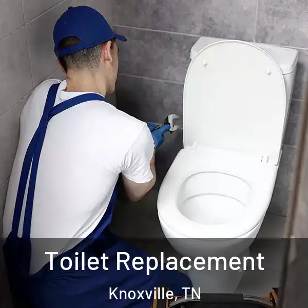  Toilet Replacement Knoxville, TN