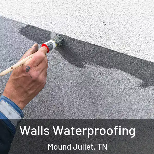  Walls Waterproofing Mound Juliet, TN
