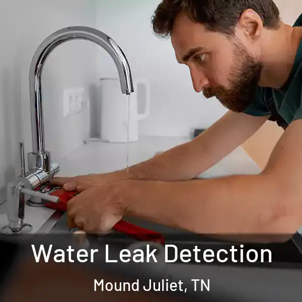  Water Leak Detection Mound Juliet, TN