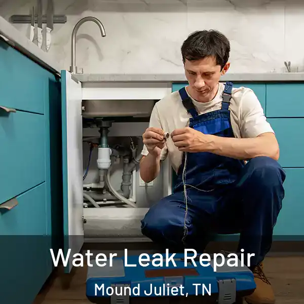  Water Leak Repair Mound Juliet, TN